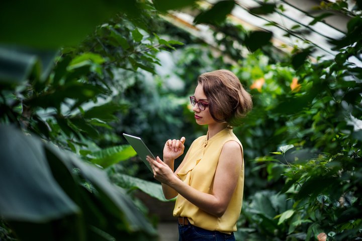 Corporate lady in forest
