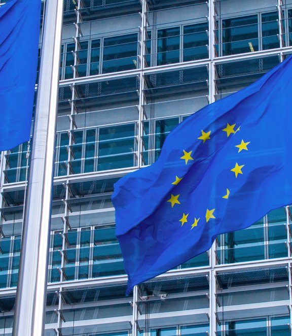 EU flags