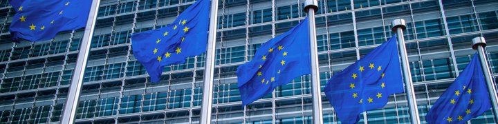 EU flags