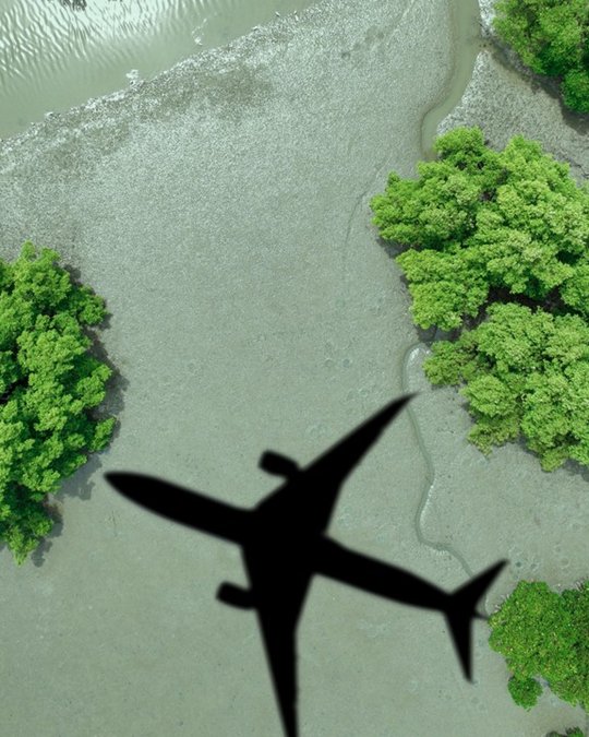 Shadow of an aeroplane flying over a green forest and muddy riverbed, viewed from above.