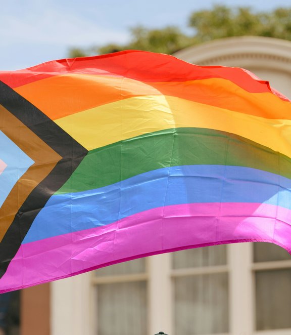 Pride flag 8
